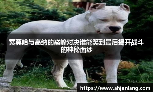 索莫哈与高纳的巅峰对决谁能笑到最后揭开战斗的神秘面纱